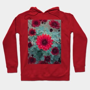 red chrysanths Hoodie